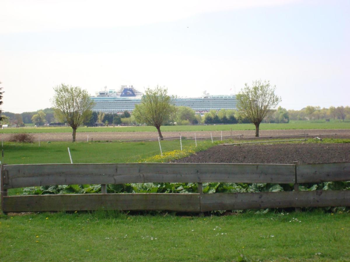 Boerenskuur De Bedstee Groen Assendelft Eksteriør bilde